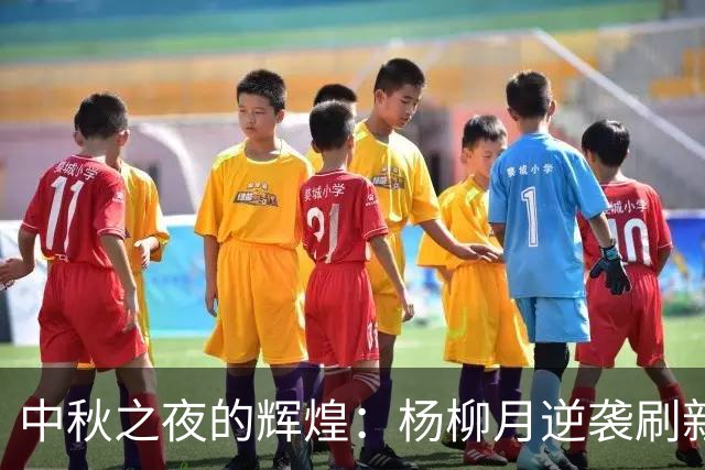 中秋之夜的辉煌：杨柳月逆袭刷新世界纪录